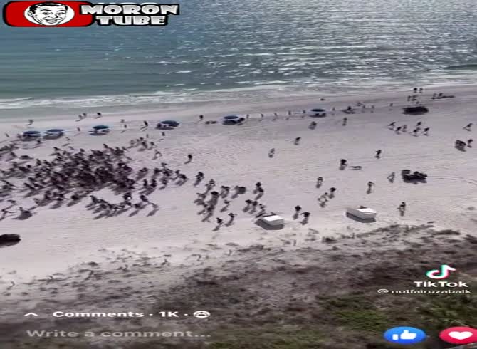Video :Over spring break, police sniffer dogs show up to ruin the fun!